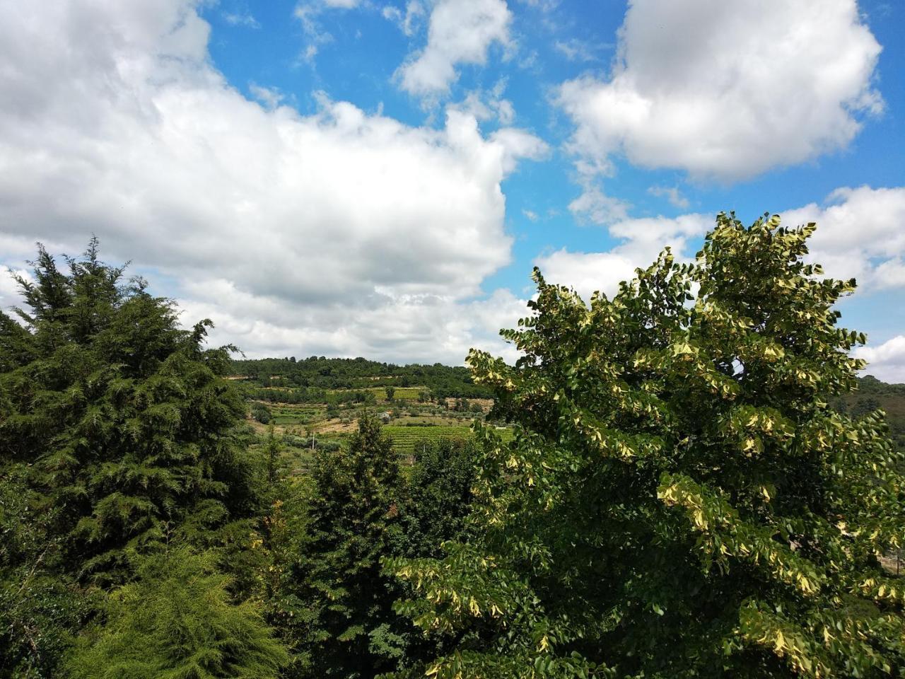 Hotel Quinta Da Telheira Vila Real Zewnętrze zdjęcie